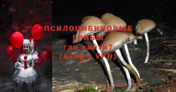 mdma Богородицк