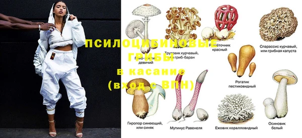 прущие крисы Богданович