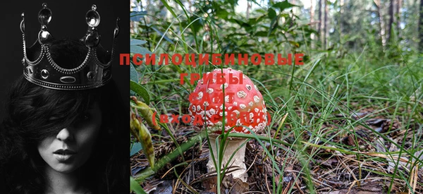 mdma Богородицк