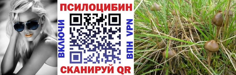 Псилоцибиновые грибы MAGIC MUSHROOMS  Кольчугино 